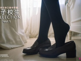 女子校生 COLLECTION Vol.1(名校大小姐1 爱欲沉沦)