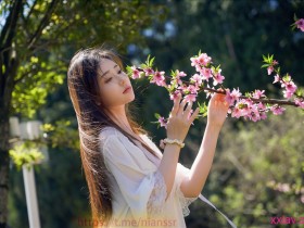 年年 NO.120 桃花源(水印)